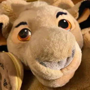Vintage! Disneyland The Lion King 3D Backpack Disney | Bags | Vintage Disneyland The Lion King 3d Backpack  main image 4